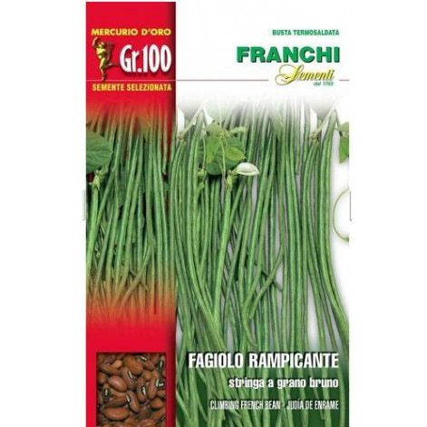 franchi-sementi-seme-fagiolo-rampicante-100-gr-stringa-a-grano-bruno